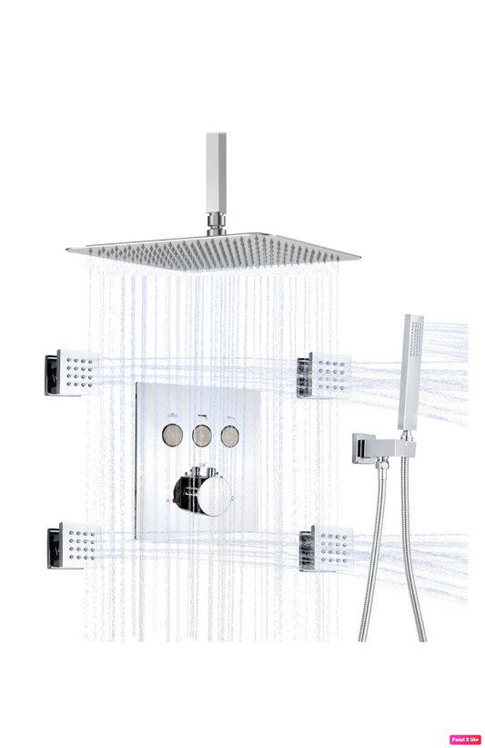 Ceiling-Mounted Shower Systems: 2 and 3 Function Options 