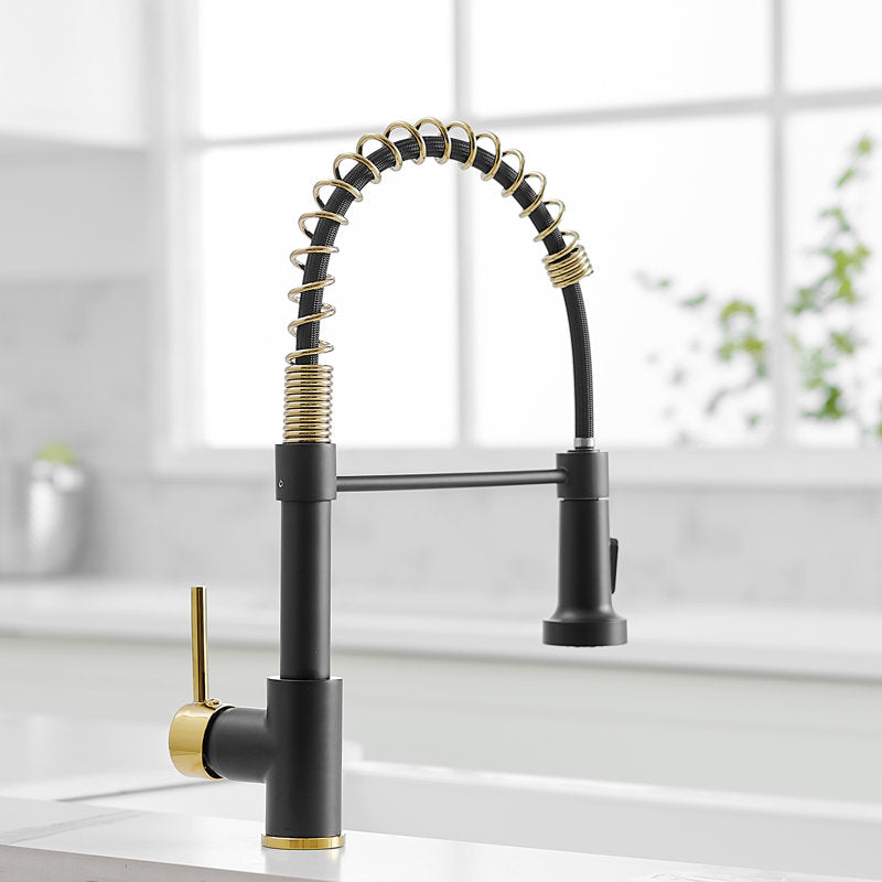 Pull-Down Spiral Flexible Kitchen Faucet 16.5" Matte Black,Shiny Gold Finish