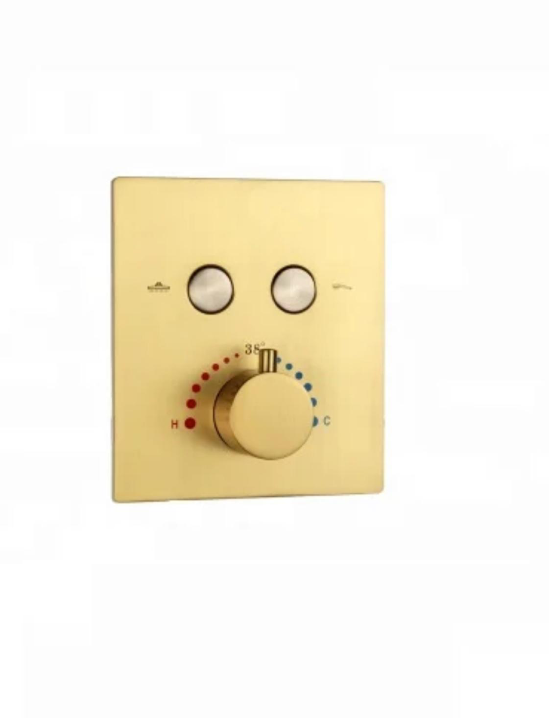Gold shower control panel with temperature and flow indicators on a white background