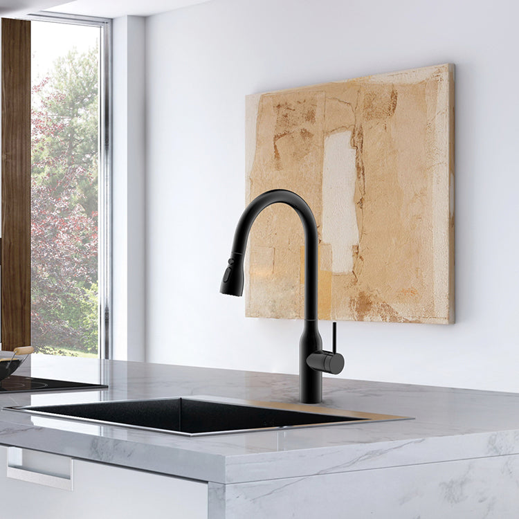 MAX Faucets | 18" High-Arc Pull-Out Kitchen Faucet – Single Handle, Matte Black Finish