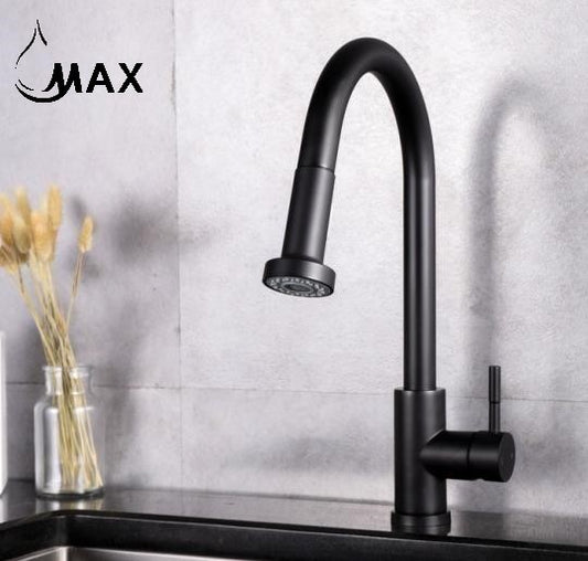 Single Handle Pull-Out Kitchen Faucet Matte Black with spryer