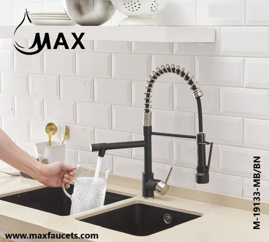 Pull-Down Flexible Kitchen Faucet With Separate Pot Filler Spout 19" Matte Black,Brushed Nickel Finish