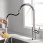 High-Arc Pull-Out Kitchen Faucet Single Handle18.5" Brushed Nickel Finish