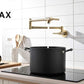 Pot Filler Faucet Double Handle Commercial Wall Mounted 26" With Accessories Brushed Gold Finish